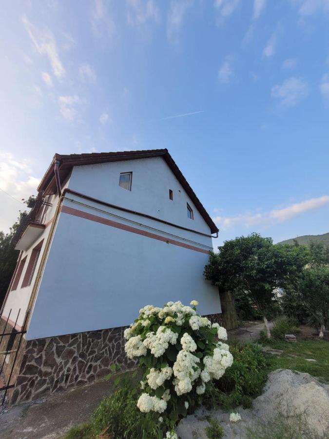 Vila Castelana Caciulata Exterior photo